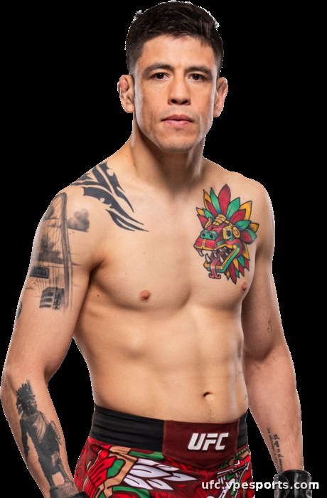 Brandon Moreno v UFC