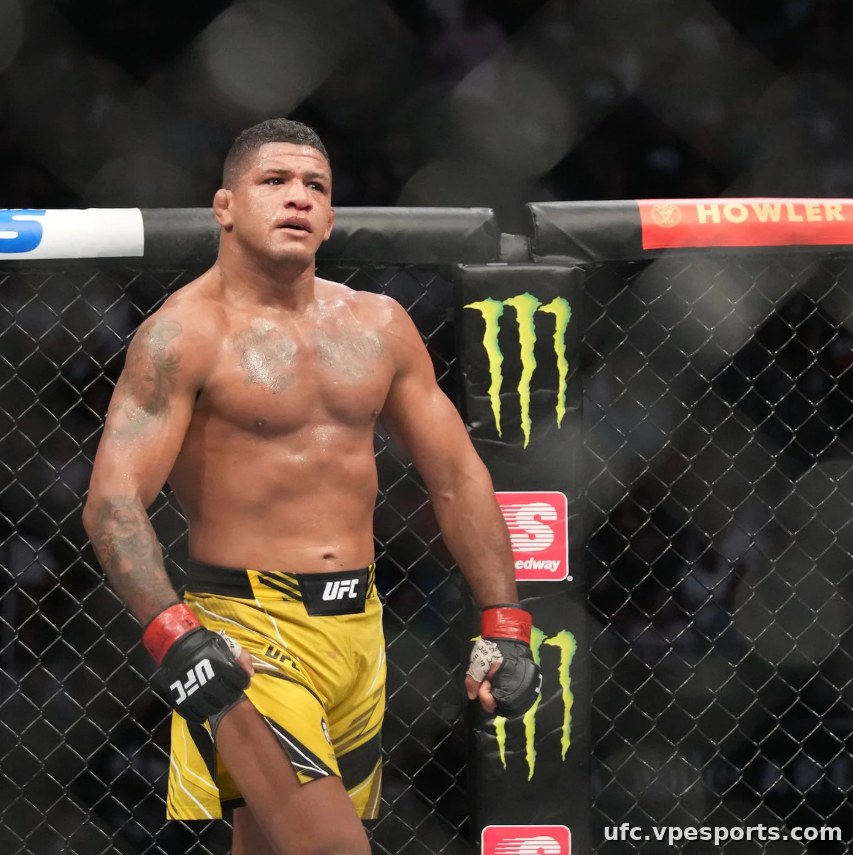 Gilbert Burns UFC