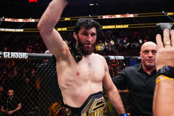 Magomed Ankalaev UFC career