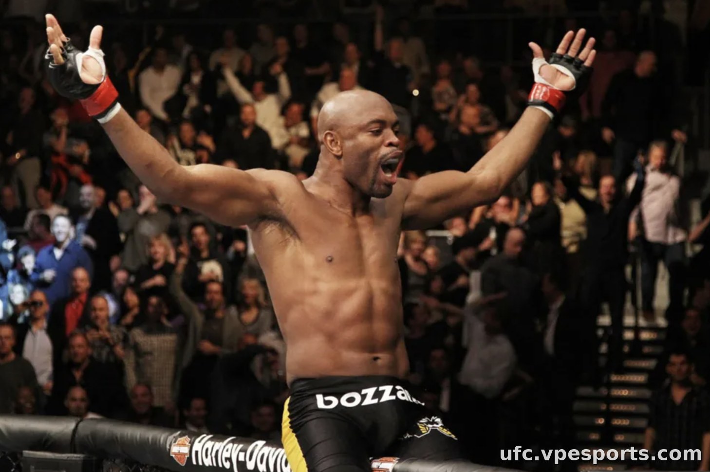 Anderson Silva