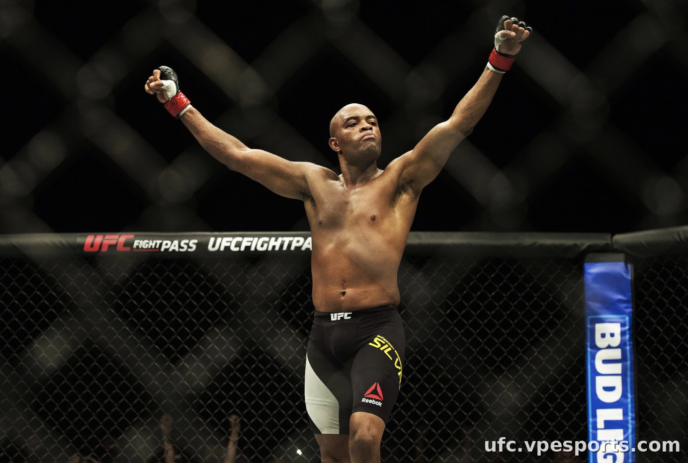 Anderson Silva