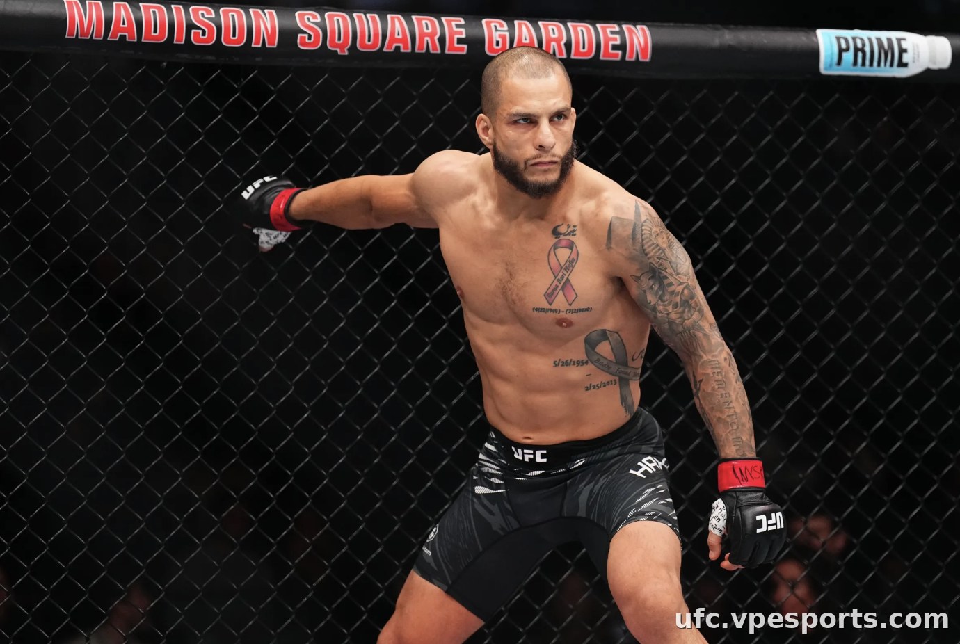 Bassil Hafez UFC