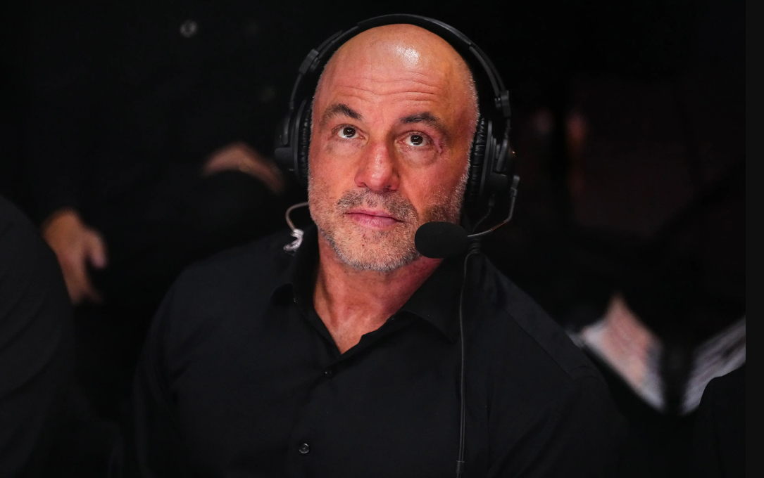Joe Rogan v UFC-ju