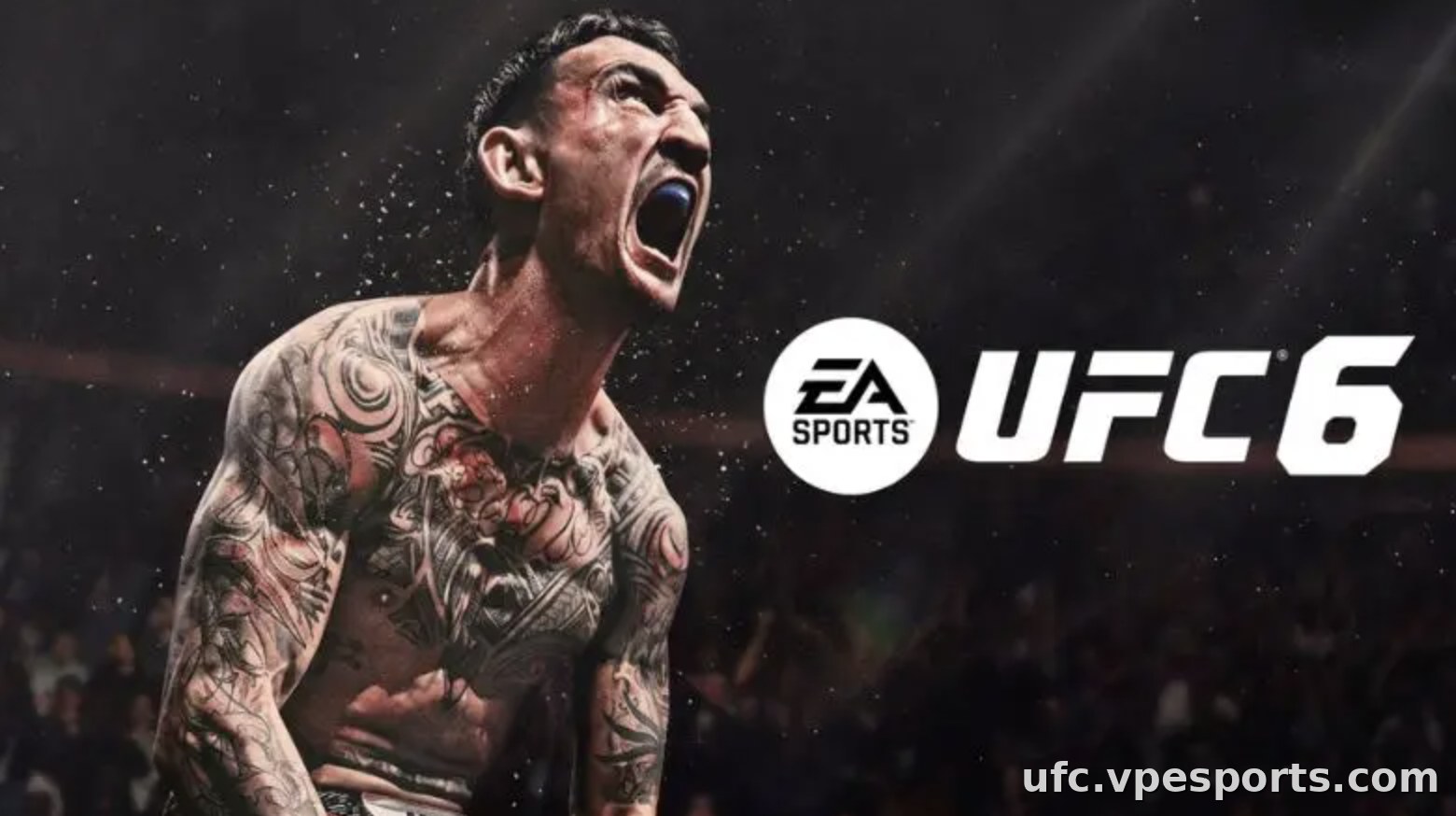 UFC 6