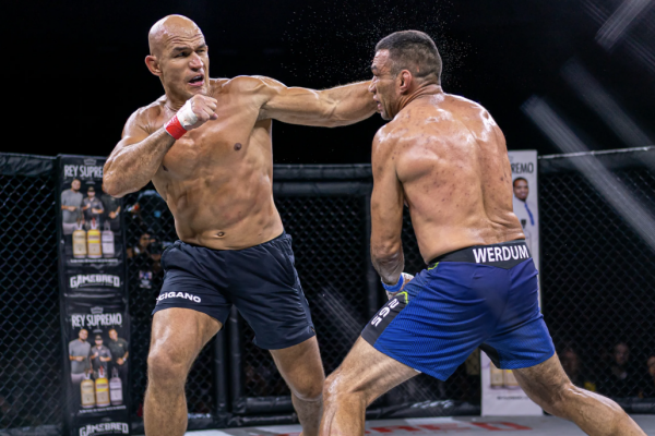 Junior dos Santos faces Fabricio Werdum again