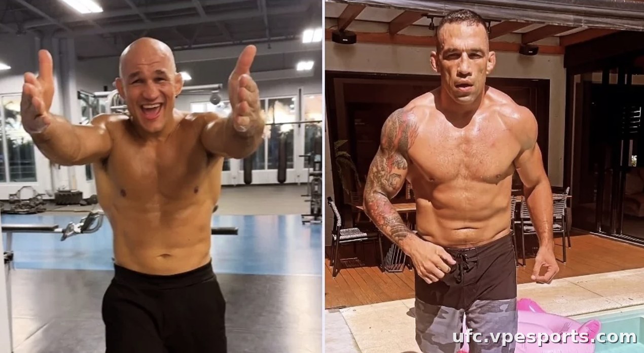 Junior dos Santos contre Fabricio Werdum
