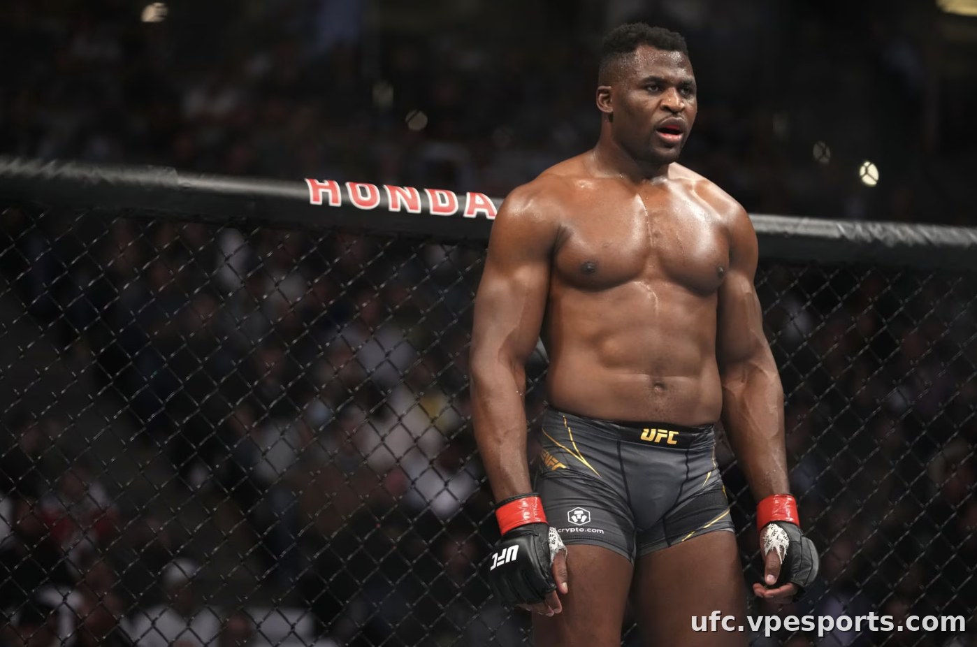 Francis Ngannou