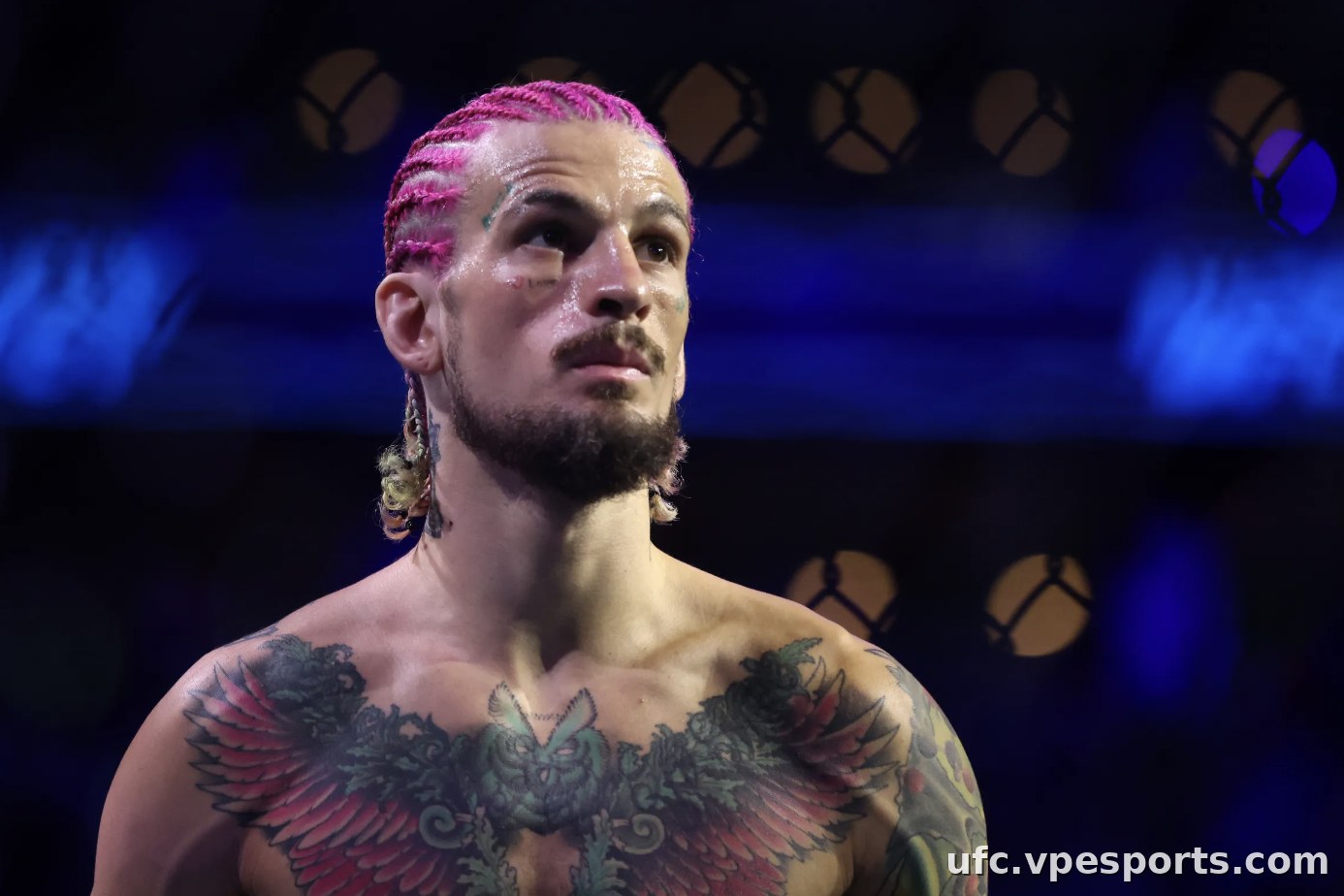 Sean O'Malley UFC