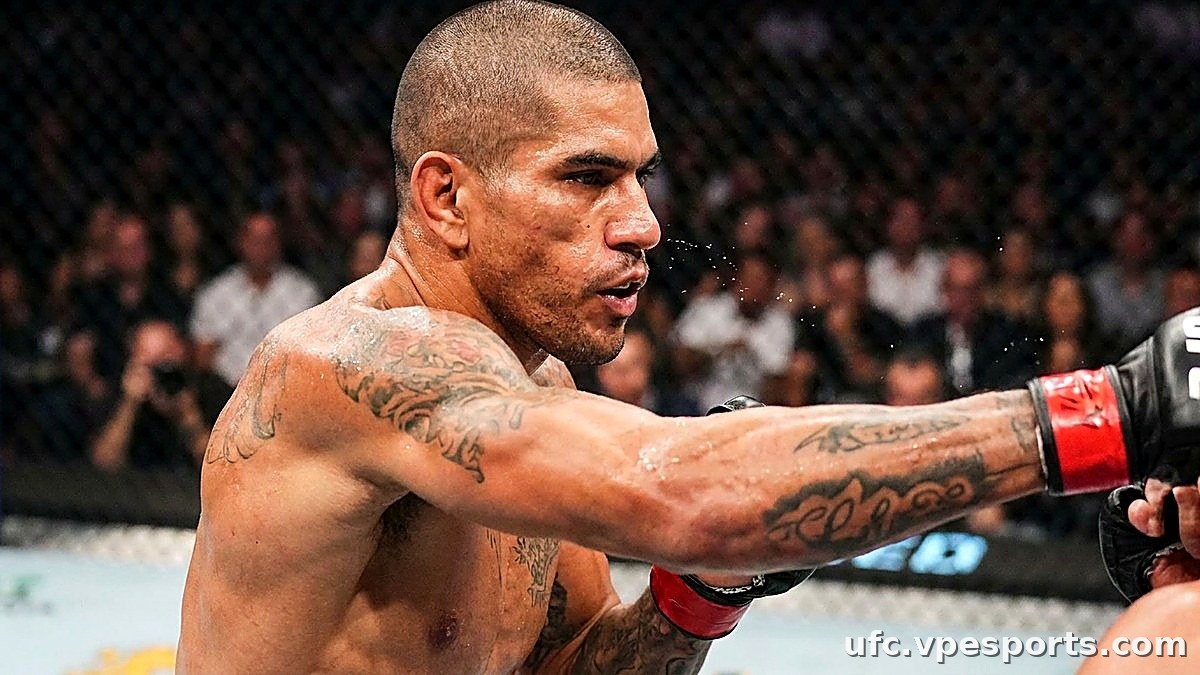 أليكس بيريرا في بطولة القتال النهائي (UFC)