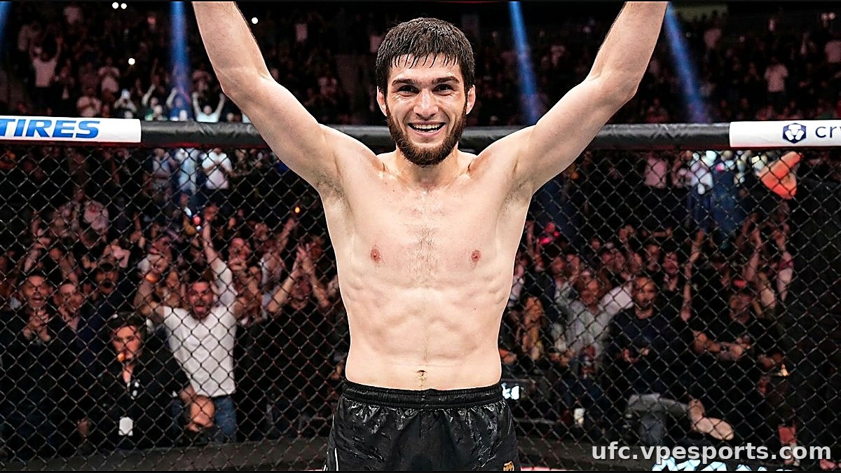 Шара Магомедов UFC