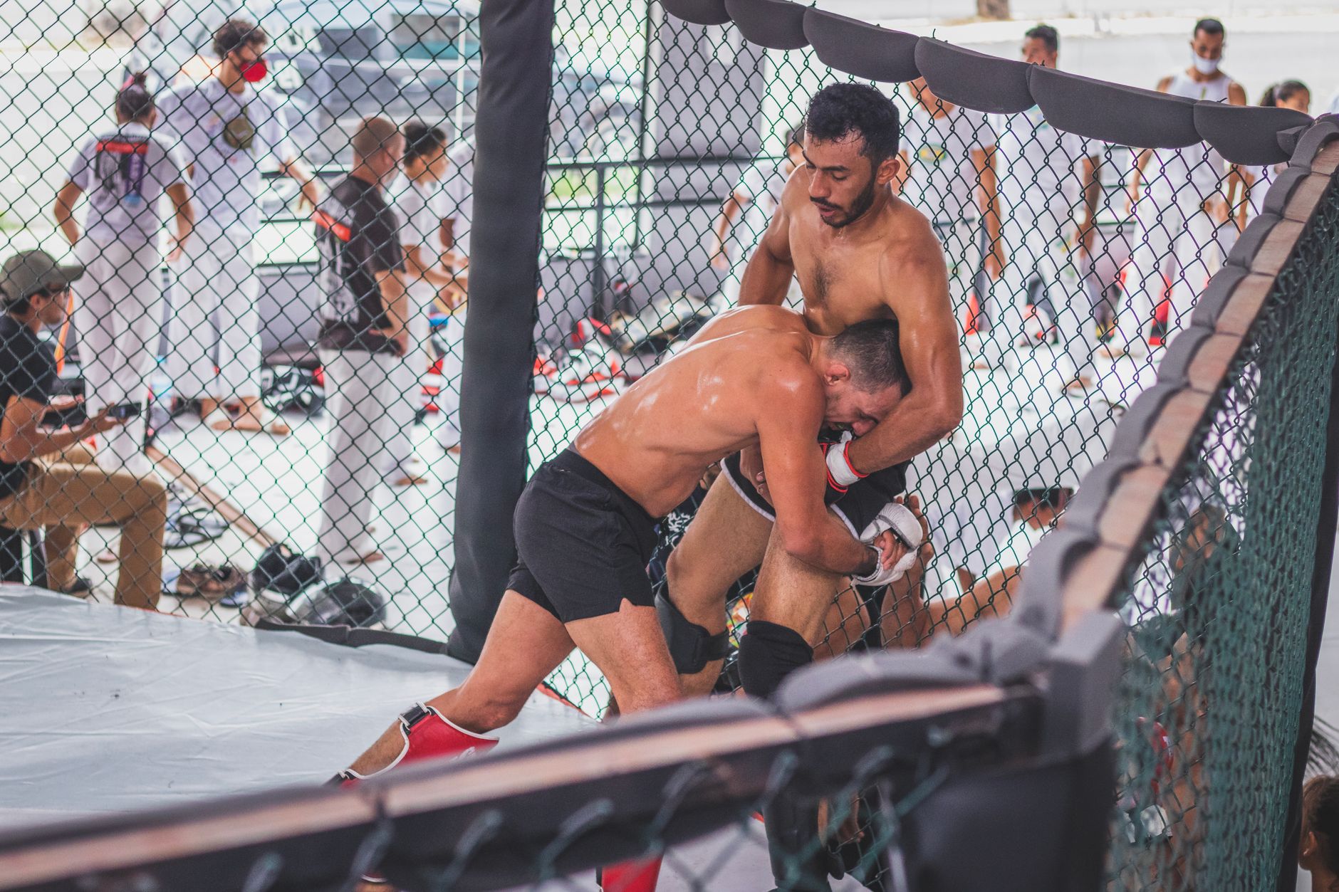 Manny Pacquiao UFC