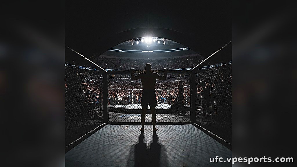 بازگشت الکساندر پانتوخا برای رویداد UFC 331 برنامهریزی شده است.