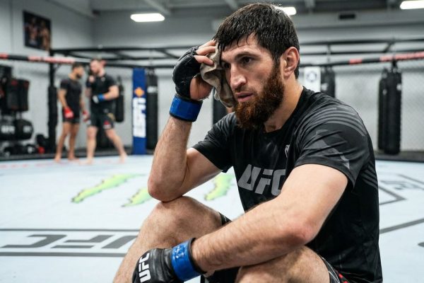 Ankalaev Still Chasing Pereira Trilogy