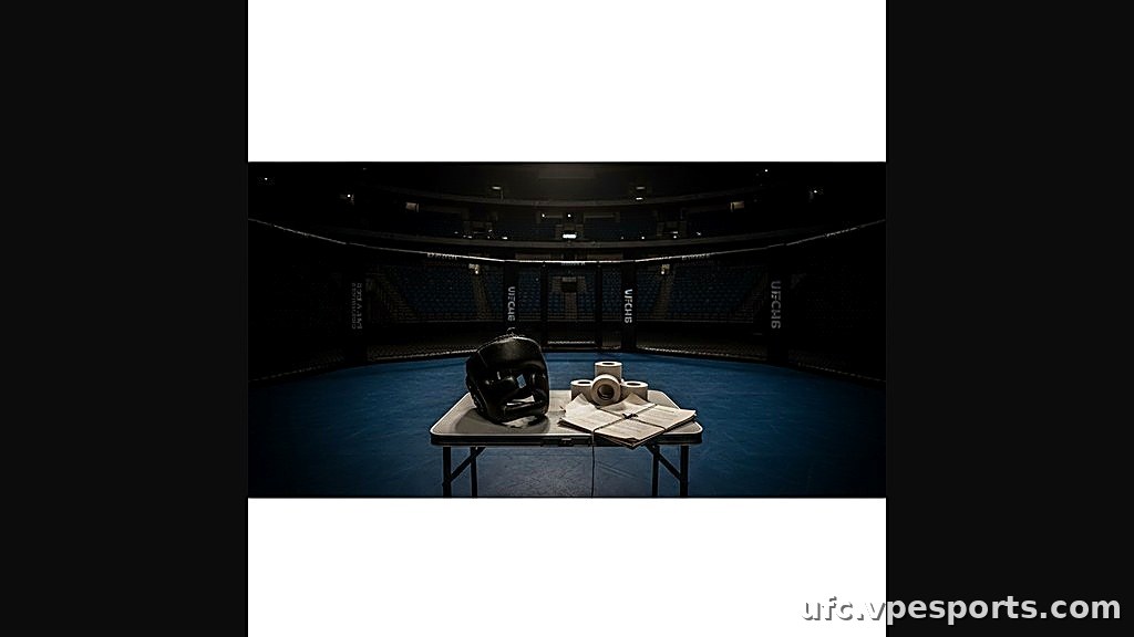 دانيال كورمييه في بطولة القتال النهائي (UFC)