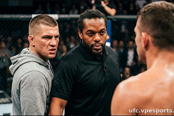 Brendan Schaub kritizuje Herba Deana za fauly v UFC
