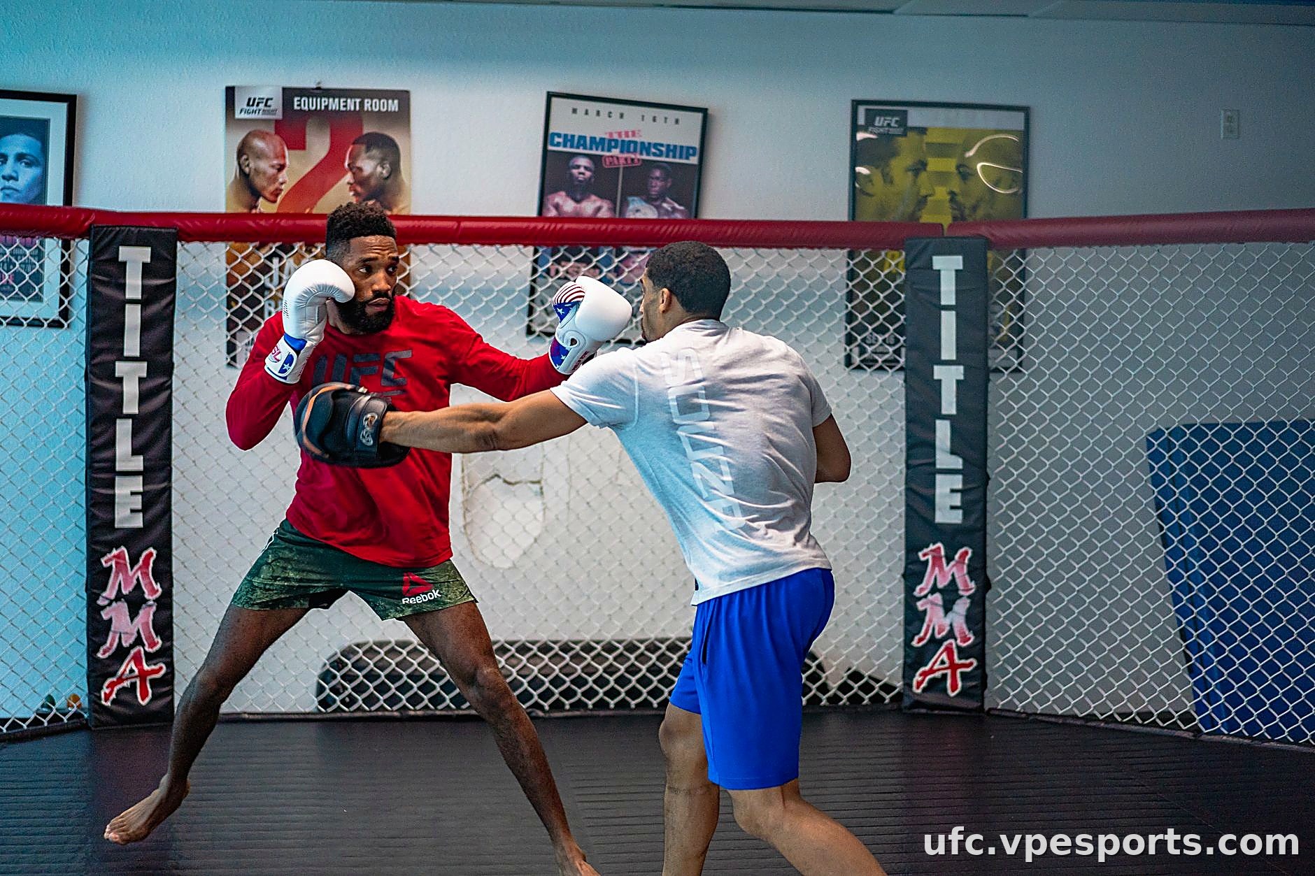 MMA UFC