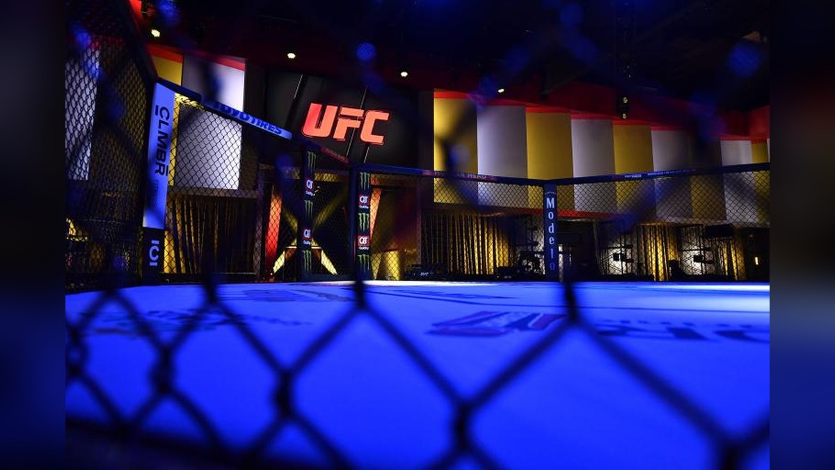 UFC Meta APEX