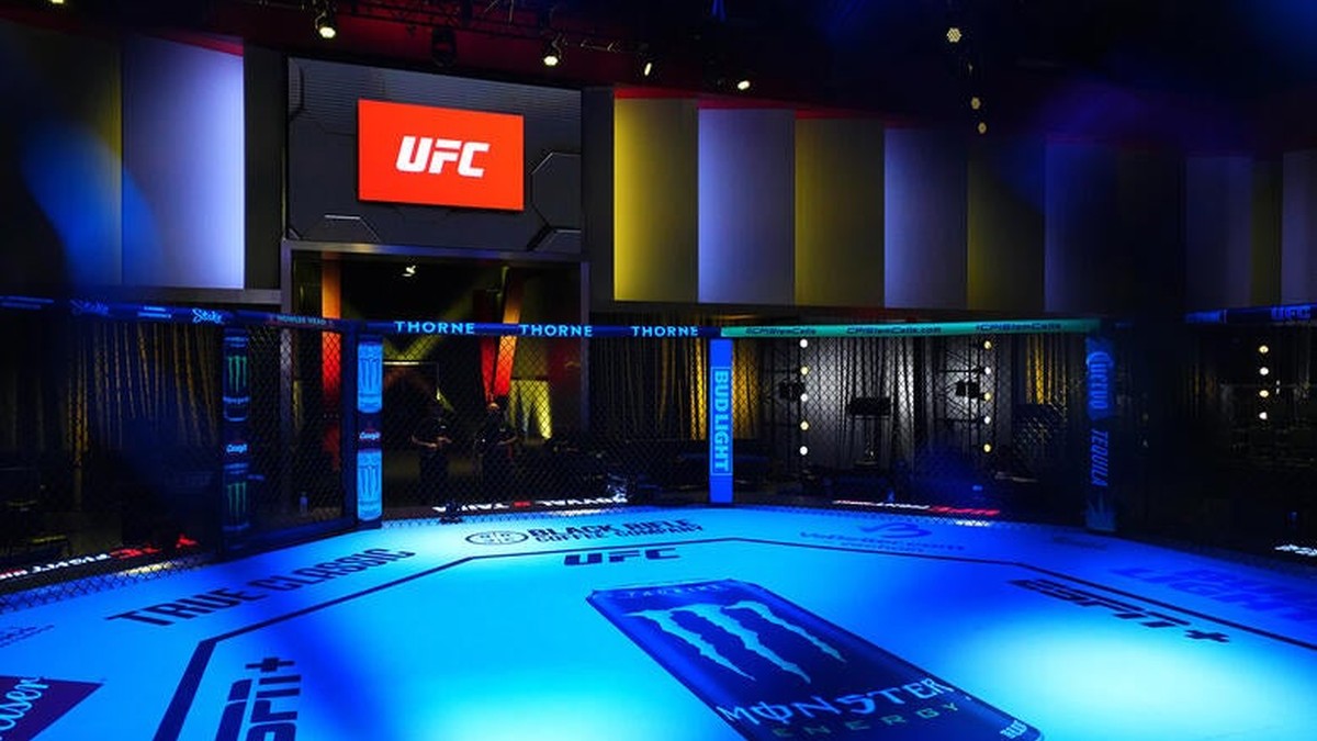 UFC Meta APEX