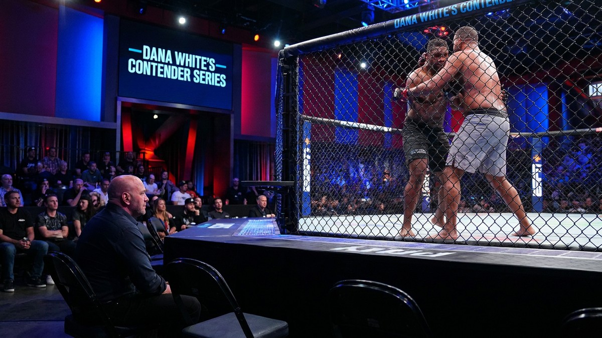 Dana White Contender