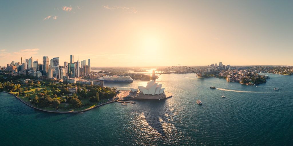 DOWN UNDER MED: Sydney Fight Night