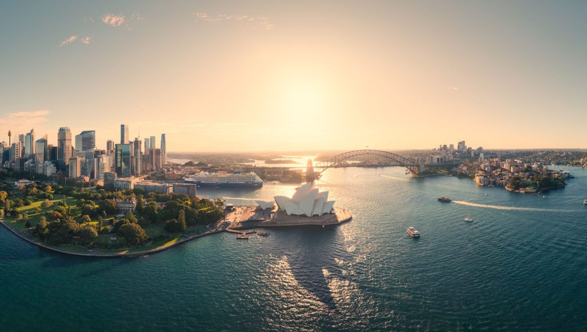 DOWN UNDER MED: Sydney Fight Night