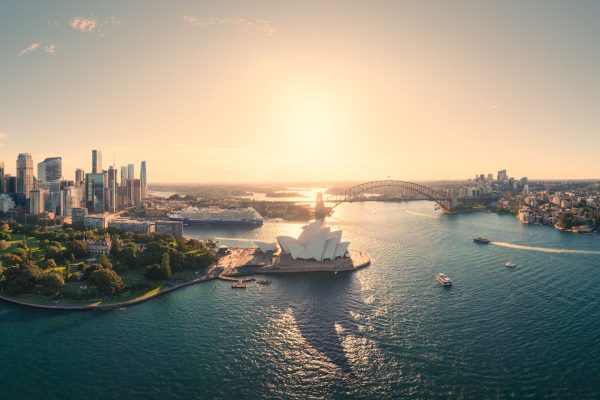 DOWN UNDER MED: Sydney Fight Night